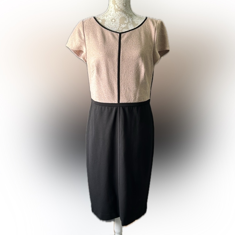 Ann Taylor Petite Business or cocktail dress.